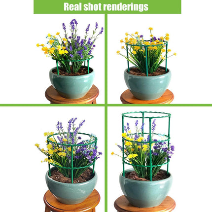 Versatile Plant Support Stake: Essential Tool for Thriving Gardens and Greenhouses - Très Elite