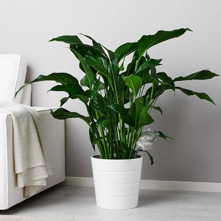 Whimsical Animal-Themed Automatic Watering System for Lush Gardens - Elevate Your Plant Care with Fun and Functionality - Très Elite