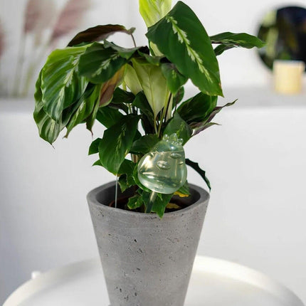 Whimsical Animal-Themed Automatic Watering System for Lush Gardens - Elevate Your Plant Care with Fun and Functionality - Très Elite