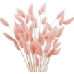 30pcs-pink