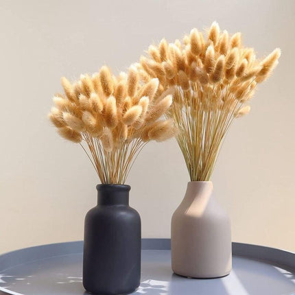 Whimsical Dried Bunny Tail Floral Arrangement - Elegant Home Decor - Très Elite