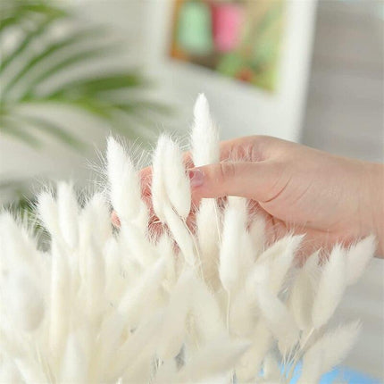Whimsical Dried Bunny Tail Floral Arrangement - Elegant Home Decor - Très Elite