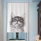 D-Door curtain