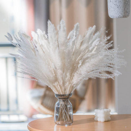 Whimsical White Pampas Grass Collection - 70-Piece Set - Très Elite