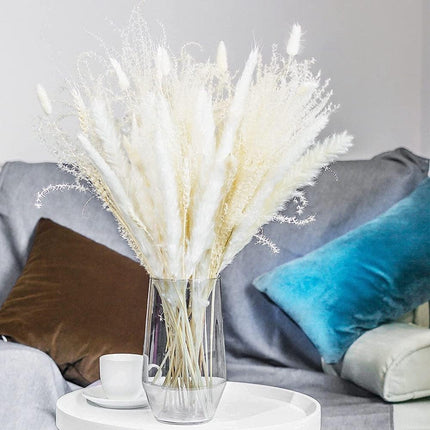 Whimsical White Pampas Grass Collection - 70-Piece Set - Très Elite