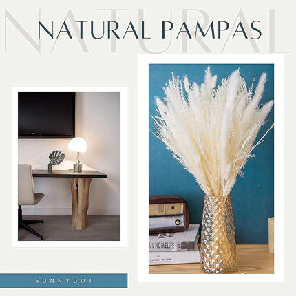 Whimsical White Pampas Grass Collection - 70-Piece Set - Très Elite