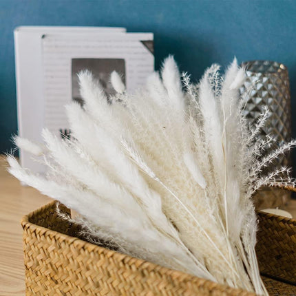 Whimsical White Pampas Grass Collection - 70-Piece Set - Très Elite