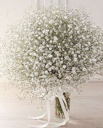 Elegant Preserved Baby's Breath Flowers: A Stylish Touch for Your Events and Home Decor