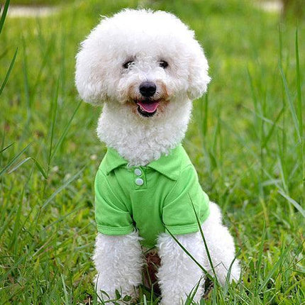 Chic Candy Hued Polo Shirt for Fashion-Forward Pets