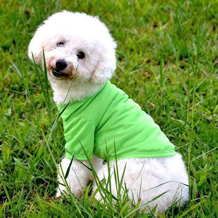 Chic Candy Hued Polo Shirt for Fashion-Forward Pets