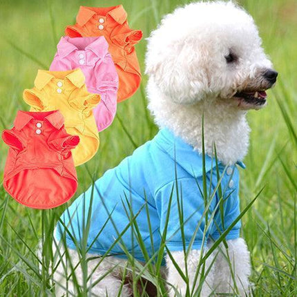 Chic Candy Hued Polo Shirt for Fashion-Forward Pets