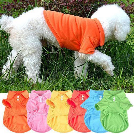 Chic Candy Hued Polo Shirt for Fashion-Forward Pets