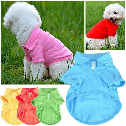 Chic Candy Hued Polo Shirt for Fashion-Forward Pets