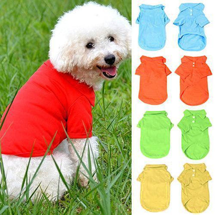 Chic Candy Hued Polo Shirt for Fashion-Forward Pets