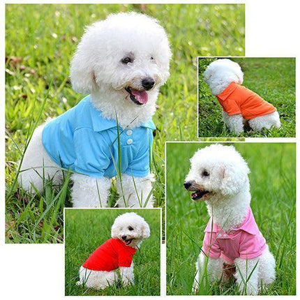 Chic Candy Hued Polo Shirt for Fashion-Forward Pets