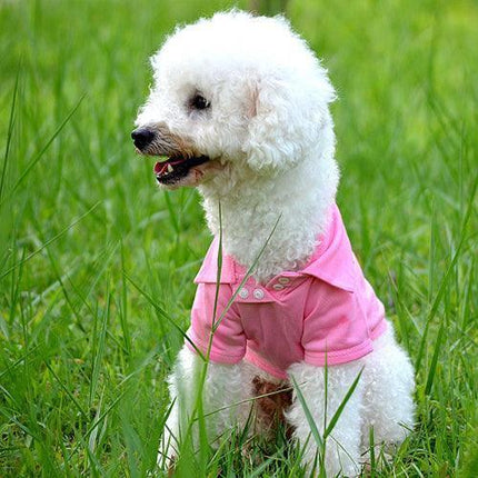 Chic Candy Hued Polo Shirt for Fashion-Forward Pets