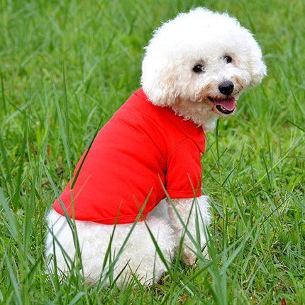 Chic Candy Hued Polo Shirt for Fashion-Forward Pets