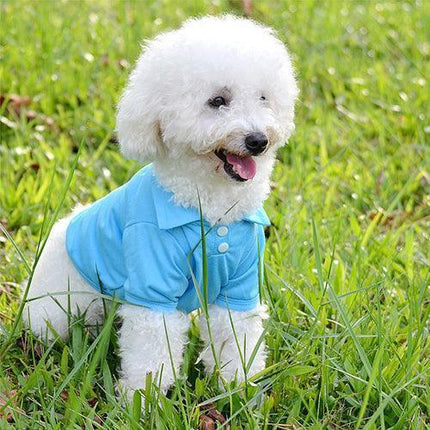 Chic Candy Hued Polo Shirt for Fashion-Forward Pets