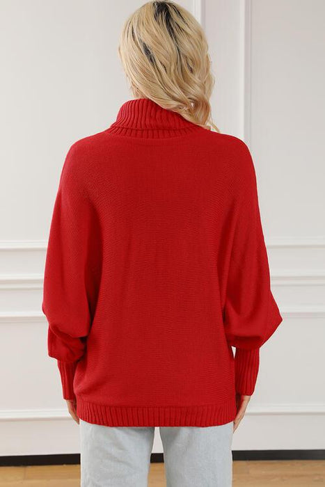 Merry Embroidered High Neck Sweater