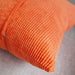 Elegant Plush Velvet Square Pillow Cover for Stylish Home Decor