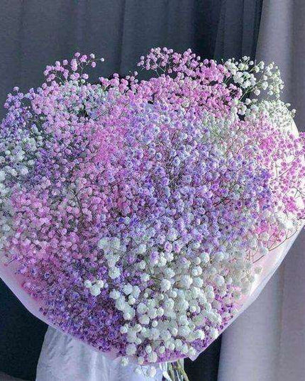 Elegant Preserved Baby's Breath Flowers: A Stylish Touch for Your Events and Home Decor