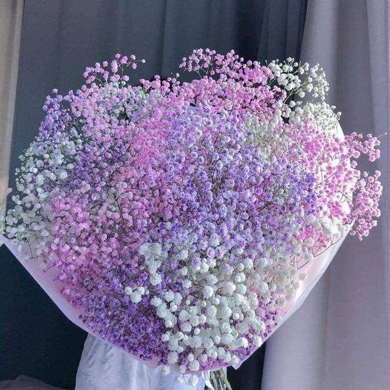 Elegant Preserved Baby's Breath Flowers: Japanese Technology for Chic Events and Decor