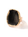 Chic Retro Gold Alloy Ring with Distinctive Design