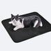 Keep Your Floors Clean with Our Waterproof Cat Litter Trapping Mat