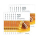 Honey Radiance Boosting Face Mask Set - 10 Sheets of 20g Each