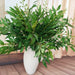 Artificial Willow Bouquet with Lifelike Silk and Plastic Leaves for Elegant Decor