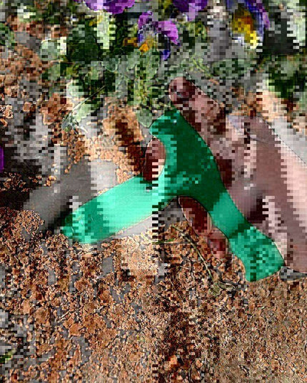 Effortless Gardening: Your Essential Planting and Weeding Companion